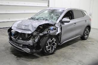 damaged passenger cars BYD Atto 3 2024/1
