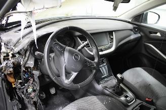 Opel Grandland (X) picture 9