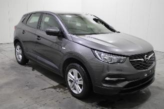 Opel Grandland (X) picture 2