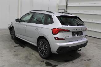 Skoda Kamiq  picture 4