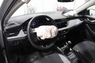 Skoda Kamiq  picture 9