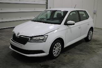 Avarii autoturisme Skoda Fabia  2019/6