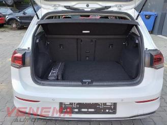Volkswagen Golf Golf VIII (CD1), Hatchback, 2019 1.0 eTSI 12V picture 11
