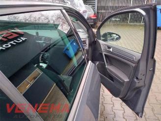 Volkswagen Golf Golf VII Variant (AUVV), Combi, 2013 / 2021 2.0 TDI 16V picture 12