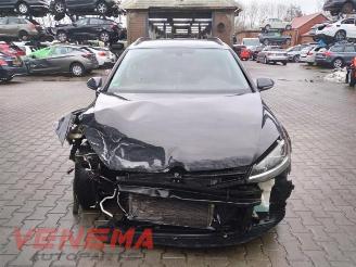 Volkswagen Golf Golf VII Variant (AUVV), Combi, 2013 / 2021 2.0 TDI 16V picture 2
