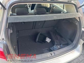 Volkswagen Golf Golf VII (AUA), Hatchback, 2012 / 2021 1.5 TSI Evo BMT 16V picture 10