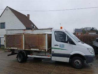 Mercedes Sprinter Sprinter 3,5t (906.13/906.23), Ch.Cab/Pick-up, 2006 / 2018 313 CDI 16V picture 6