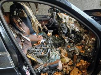 BMW X3 X3 (F25), SUV, 2010 / 2017 xDrive20d 16V picture 19