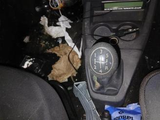 Dacia Dokker Dokker Express (8S), Van, 2012 / 2021 1.5 dCi, Blue dCi 75 picture 8