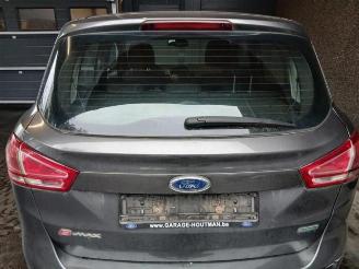 Ford B-Max B-Max (JK8), MPV, 2012 1.0 EcoBoost 12V 125 picture 10