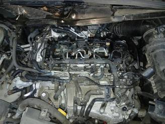 Seat Alhambra Alhambra (7N), MPV, 2010 / 2022 2.0 TDI 16V picture 25