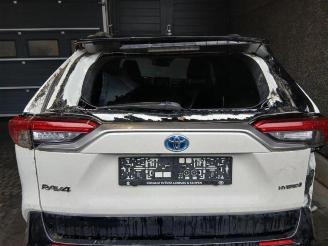 Toyota Rav-4 RAV4 (A5), Terreinwagen, 2018 2.5 Hybrid 16V picture 11