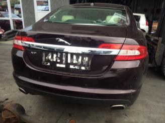 Jaguar XF  picture 3