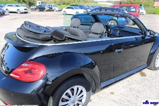 Volkswagen Beetle 5C picture 14