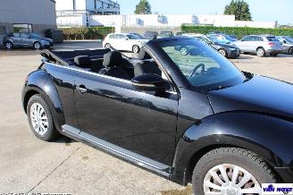 Volkswagen Beetle 5C picture 13