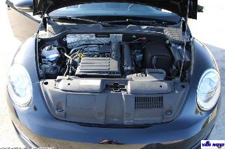 Volkswagen Beetle 5C picture 7