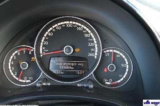 Volkswagen Beetle 5C picture 12