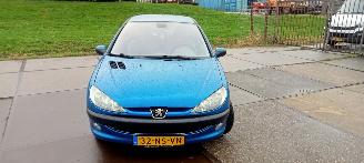 Schadeauto Peugeot 206  2004/2