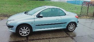 skadebil auto Peugeot 206  2002/4