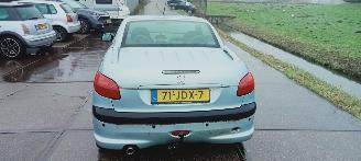 Peugeot 206  picture 2