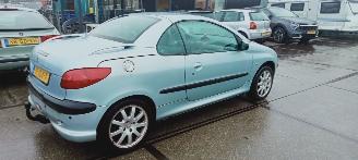 Peugeot 206  picture 3