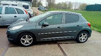 Peugeot 207  picture 2