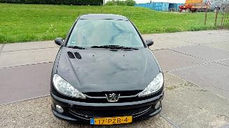 Coche accidentado Peugeot 206  2006/11