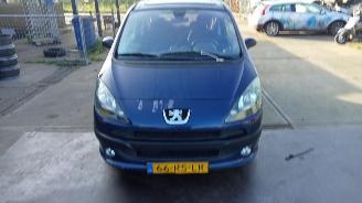 Schadeauto Peugeot 1007  2005/8