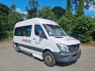 Auto incidentate Mercedes Sprinter 314 CDI Aut 9 Stoelen + Rolstoellift 2017/11