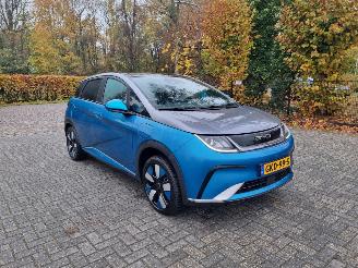 Unfallwagen BYD Dolphin 60.4 kWh Pano Led Navi Camera 2024/9