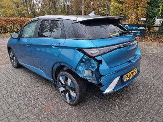 BYD Dolphin 60.4 kWh Pano Led Navi Camera picture 3