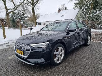Audi E-tron 50 Quattro 71Kwh Pano Navi Led picture 7