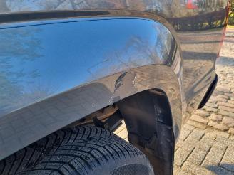 Volkswagen Amarok 3.0 TDI 4 Motion Aut. Double Cab picture 10