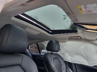 BMW 5-serie 530e Plugin Hybr Schuifdak Led Stoelverw picture 14