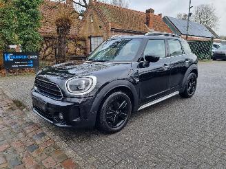 Avarii autoturisme Mini Countryman 1.5i Aut. Navi Camera Stoelverw. 2023/4