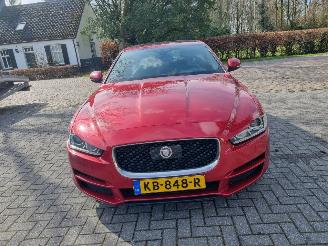 Jaguar XE 20d E-Performance Portfolio Pano Navi picture 8