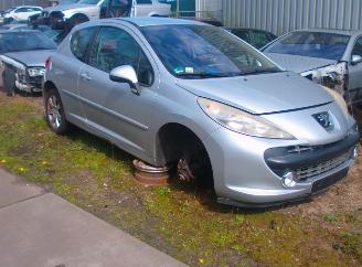  Peugeot 207  2008/1