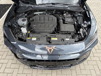 Cupra Formentor VZ NEW MOD! 2.0 TSI 4Drive 333PK DSG7 picture 44