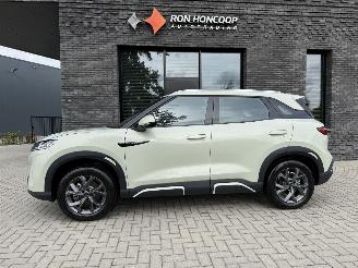 Schadeauto BYD  ATTO 2 BOOST 45,1 kWh 177PK Aut. DESIGN PANO VOL! 2026/4