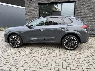 Cupra Terramar NEW! 2.0 TSI 4Drive 265PK DSG Performance picture 16