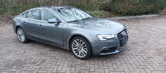 Auto incidentate Audi A5 A5-Sportback 2.0-TDI Automatik Navi Xenon Led Climatecontrol CruiseControl Stoelverwarming Lichtautomaat Regensensor Trekhaak Parkeersensoren 18-inch Audi velgen 2016/2