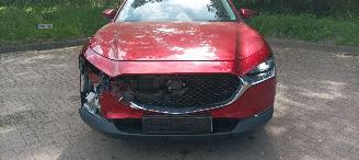 Mazda CX-30 1.8-skyactiv Executive Navi Head-up Keyless entry Leder Zwart/Bruin Climatecontrol Stoelverwarming Regensensor Drivelane assistent Dimmende binnenspiegel Achteruitrijcamera Elektrische achterklep picture 16