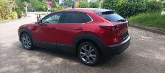 Mazda CX-30 1.8-skyactiv Executive Navi Head-up Keyless entry Leder Zwart/Bruin Climatecontrol Stoelverwarming Regensensor Drivelane assistent Dimmende binnenspiegel Achteruitrijcamera Elektrische achterklep picture 3