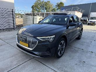 Voiture accidenté Audi E-tron 50 QUATRO Launch edition plus 71 kWh PANO-NAVI-LEDER 2019/12