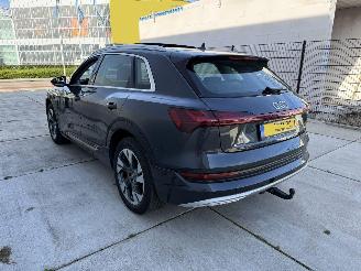 Audi E-tron 50 Quatro Launch Edition Plus 71 kWh PANO-LEDER-NAVI picture 4