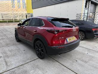 Mazda CX-30 2.5 e-SkyActive-G M Hybrid Nagisa-LEDER-HUD-NAVI-CAMERA picture 4