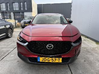 Mazda CX-30 2.5 e-SkyActive-G M Hybrid Nagisa-LEDER-HUD-NAVI-CAMERA picture 13