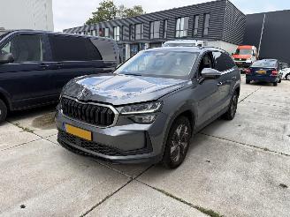 uszkodzony samochody osobowe Skoda Kodiaq 1.5 TSI MHEV Business Edition KEYLESS-NANI-CAMERA-PDC 2024/6