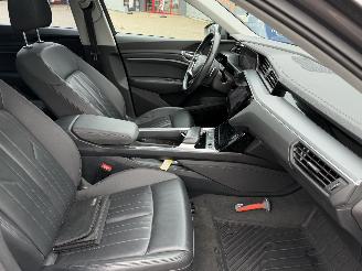 Audi E-tron 50 Quattro 71Kwh Launch Edition Plus Pano Nap Nederlandse Auto picture 13