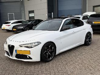 skadebil auto Alfa Romeo Giulia 2.2D Automaat Super Pano 2016/10
